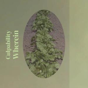 收听Betta Vini的Longer Freshman歌词歌曲