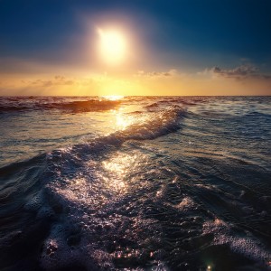 ดาวน์โหลดและฟังเพลง El Camino Se Desarrolla พร้อมเนื้อเพลงจาก Sonido Ambiente