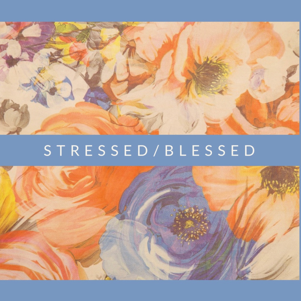 Stressed/Blessed (Explicit)