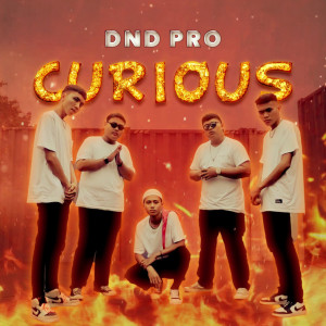 Album Curious (Explicit) from 