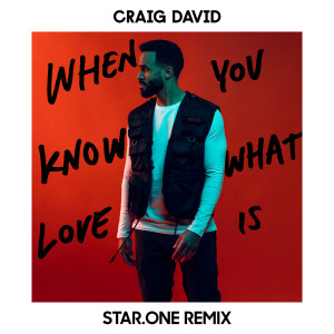 收聽Craig David的When You Know What Love Is (Star.One Remix)歌詞歌曲