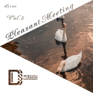Listen to Do What You Do (Iris Dee Jay Remix) song with lyrics from RJ Chevalier
