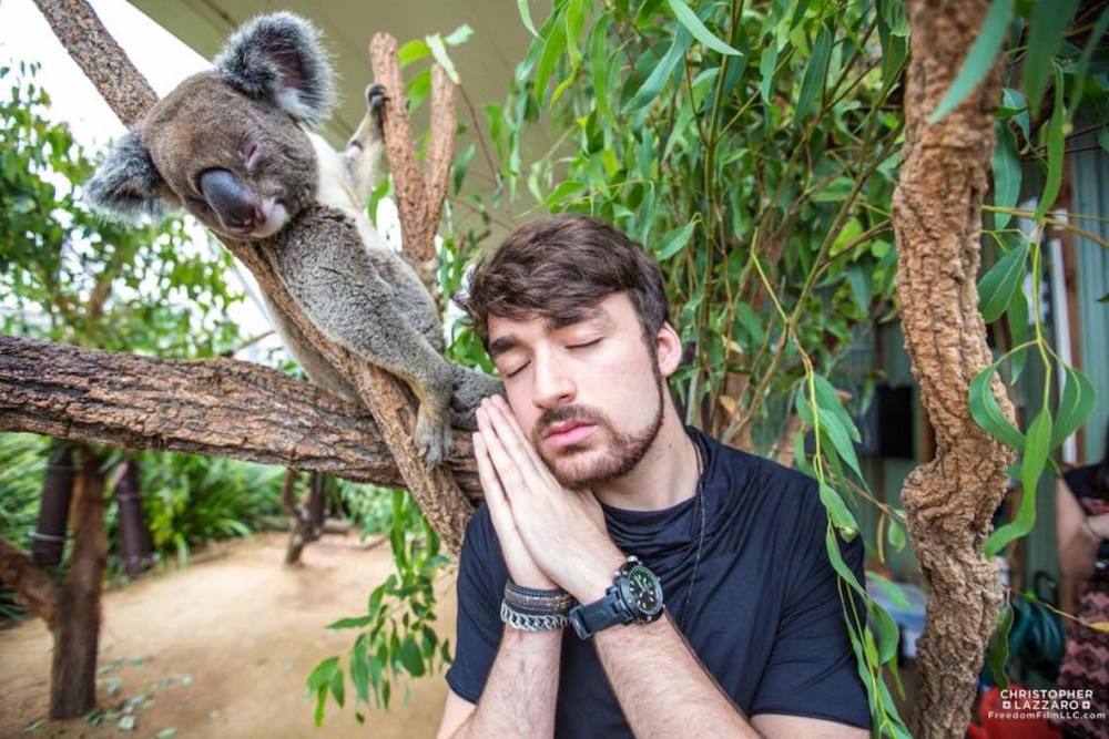 default column 1205x682 img