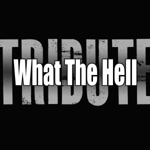 收聽The A-Team的What The Hell歌詞歌曲