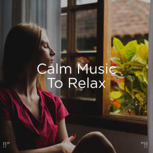 ดาวน์โหลดและฟังเพลง 432 hz Healing Music พร้อมเนื้อเพลงจาก Deep Sleep Music Collective