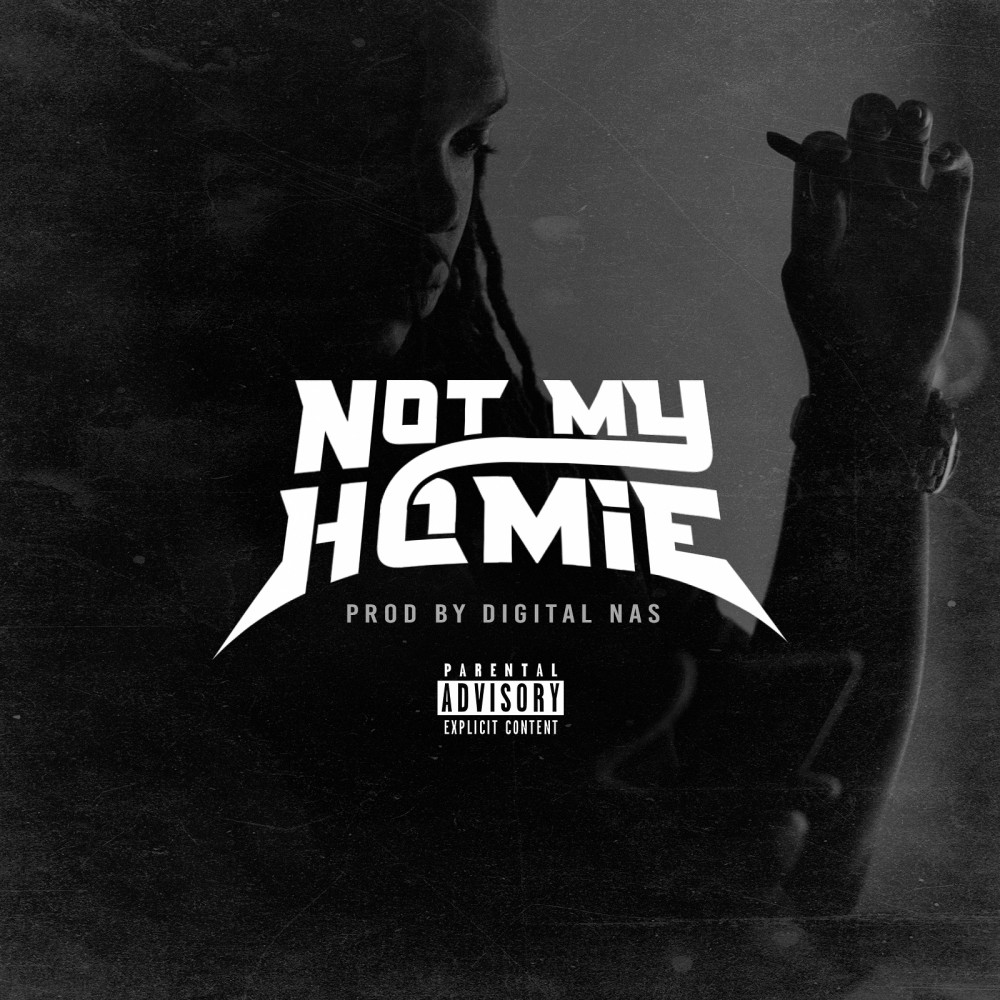 Not My Homie (Explicit)