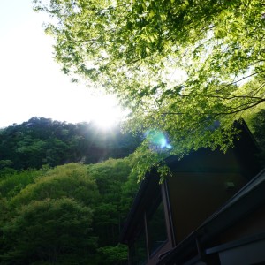 Album Korekara from Shinnosuke