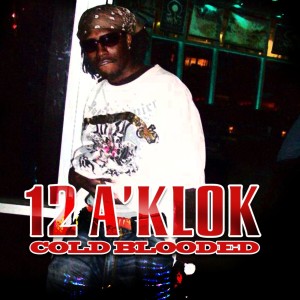 ดาวน์โหลดและฟังเพลง I Wanna Smoke (Explicit) พร้อมเนื้อเพลงจาก 12 A Klok