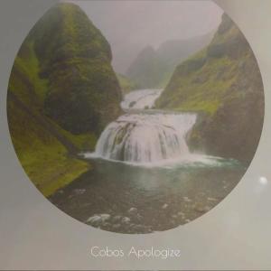 Listen to Cobos Apologize song with lyrics from Shola Vany