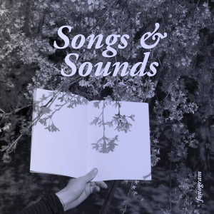 Album Songs & Sounds (Compilation) from Fonogram