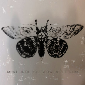 收聽Haunt的I Will歌詞歌曲