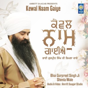 Bhai Gurpreet Singh Ji Shimla Wale的专辑Kewal Naam Gaiye