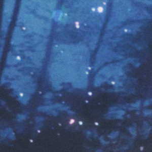 Album Fragments from Elicit