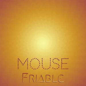 Album Mouse Friable from Various Artists