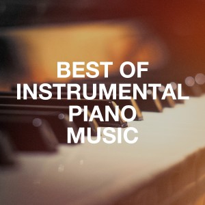 Listen to No Roots (Piano Version) [Made Famous by Alice Merton] song with lyrics from Hotel Lobby Lounge