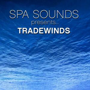 收聽Spa Sounds Musicians的Festival歌詞歌曲