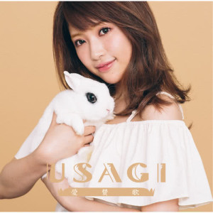 อัลบัม Aisanka ศิลปิน USAGI