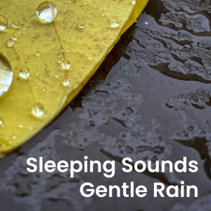 Worldwide Nature Studios的專輯Sleeping Sounds: Gentle Rain