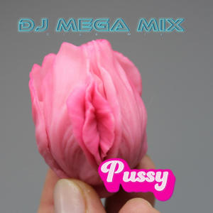 Album PUSSY oleh Dj Mega Mix