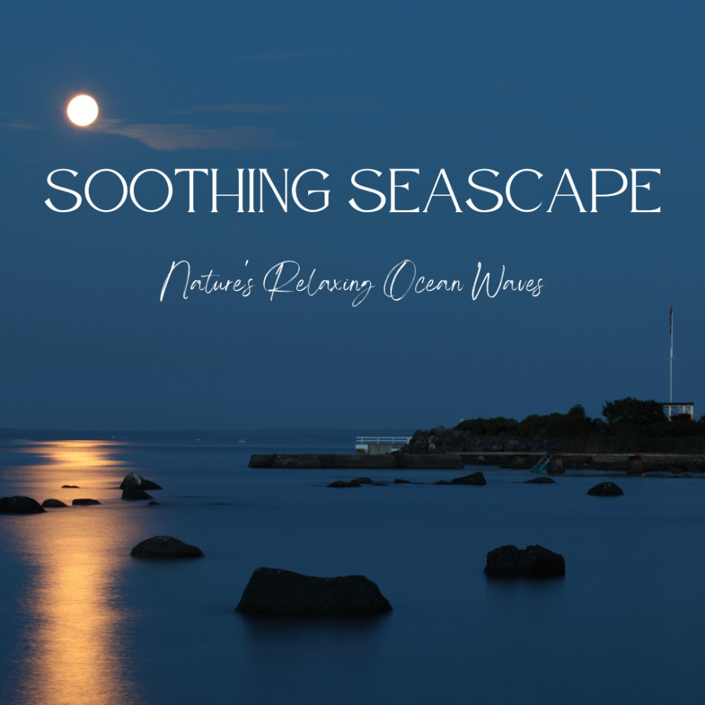 Serene Seascape Harmony Waves