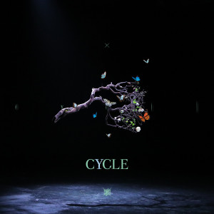 default album img