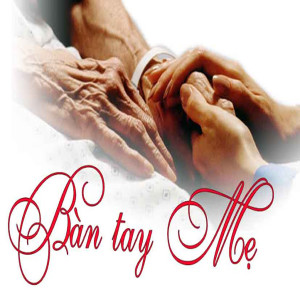 收聽Thảo My的Một bầy heo con歌詞歌曲