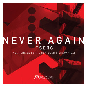 ดาวน์โหลดและฟังเพลง Never Again (The Confuser Remix) พร้อมเนื้อเพลงจาก Tserg