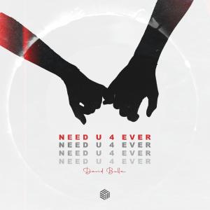 Listen to Need U 4 Ever song with lyrics from David Bulla