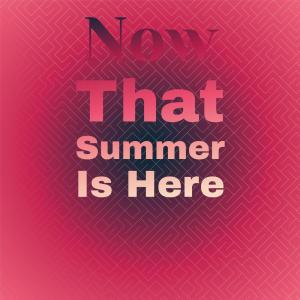 ดาวน์โหลดและฟังเพลง Now That Summer Is Here พร้อมเนื้อเพลงจาก The Videls & The Paradons