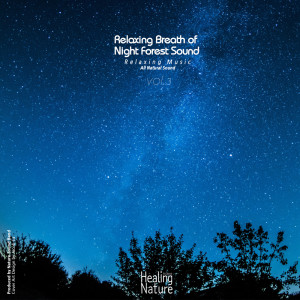 Dengarkan lagu Starry Night nyanyian 힐링 네이쳐 Nature Sound Band dengan lirik
