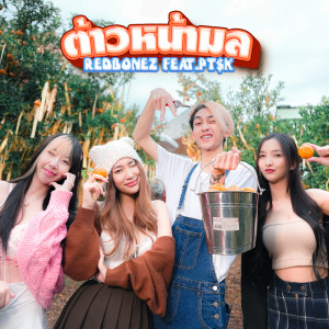 Album ต้าวหน้ามล oleh Redbonez