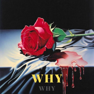 Album Why from 
