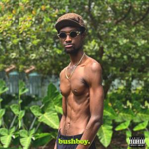 Budu的專輯bushboy. (Explicit)