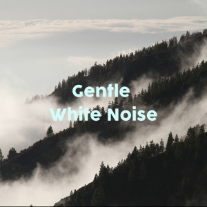 อัลบัม Gentle White Noise ศิลปิน Nature Sounds Nature Music