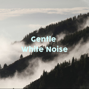 ดาวน์โหลดและฟังเพลง Ambient Birds พร้อมเนื้อเพลงจาก Nature Sounds Nature Music