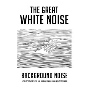 ดาวน์โหลดและฟังเพลง White Noise in Dripping Space Cave พร้อมเนื้อเพลงจาก The Great White Noise