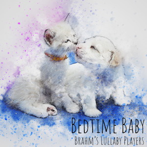 收听Brahm’s Lullaby Players的Pachelbel's Canon歌词歌曲