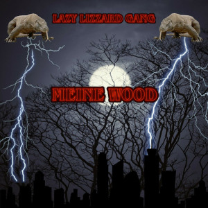 Lazy Lizzard Gang的专辑Meine Wood (Explicit)