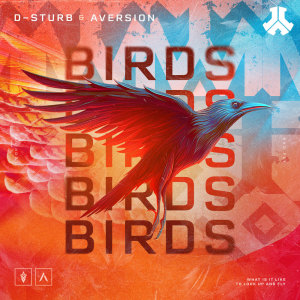 D-Sturb的专辑Birds