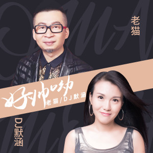收聽老貓的好帥呦 (DJ默涵版)歌詞歌曲