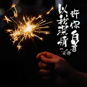 收聽安静的以我深情 許你白首歌詞歌曲