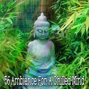 ดาวน์โหลดและฟังเพลง Wise Music พร้อมเนื้อเพลงจาก Yoga Music
