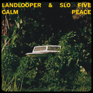 landlooper的专辑Calm Peace