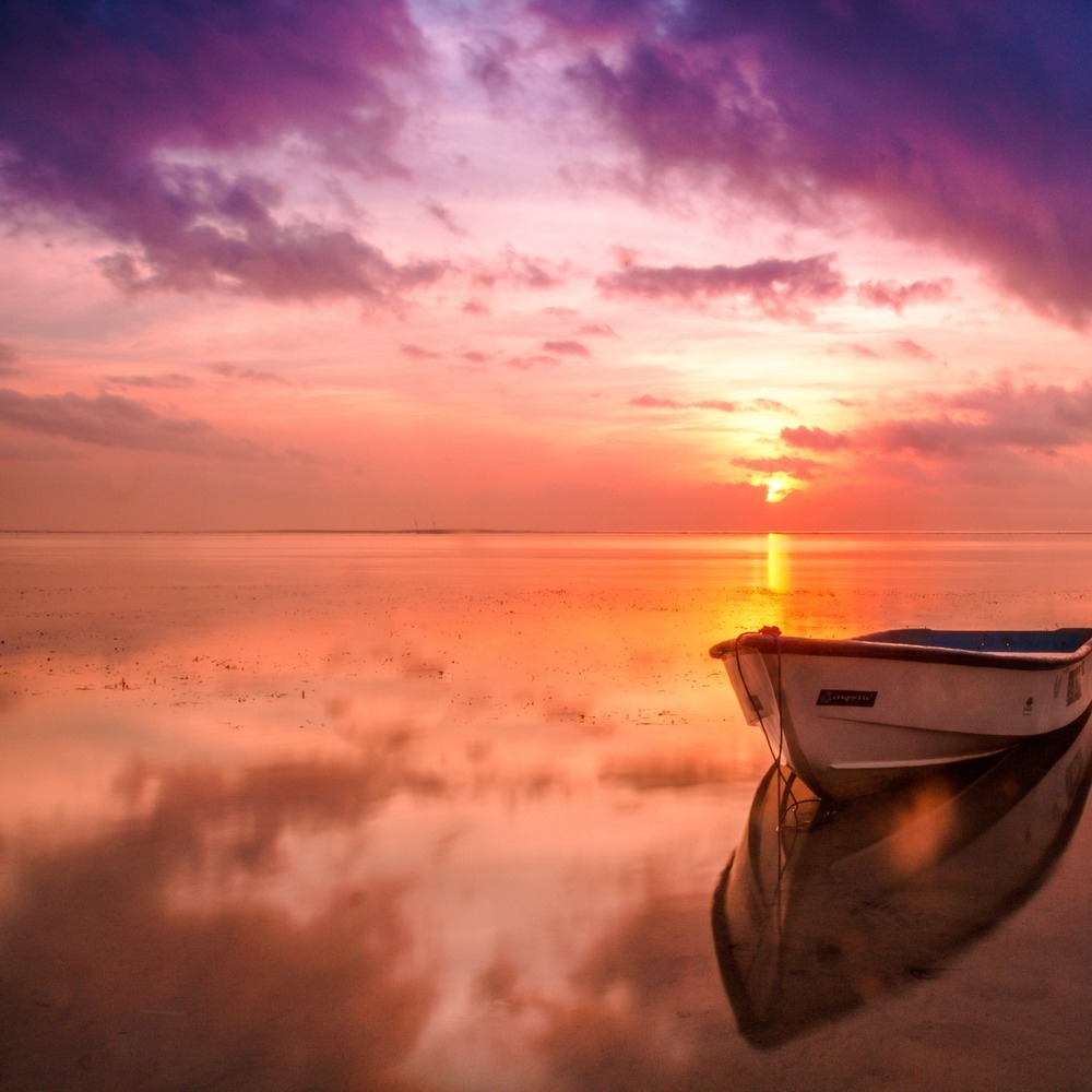 Light of Heaven