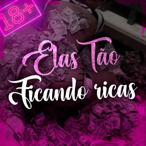 Album ELAS  TÃO FICANDO RICA (Explicit) from Dj Nk Da Serra