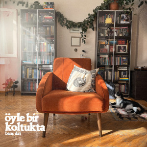 Album Öyle Bir Koltukta from Barış Diri