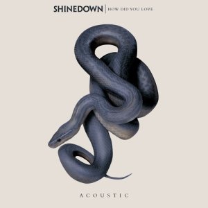 收聽Shinedown的How Did You Love (Acoustic)歌詞歌曲