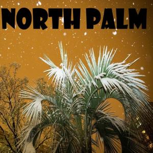 Listen to North Palm song with lyrics from Tanto