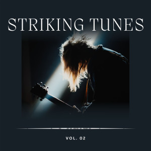 Various的專輯Striking Tunes Vol 2 (Explicit)