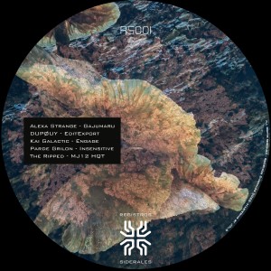 ดาวน์โหลดและฟังเพลง MJ12 HQTR (Original Mix) พร้อมเนื้อเพลงจาก The Ripped